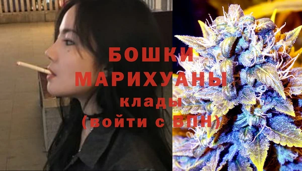 ПСИЛОЦИБИНОВЫЕ ГРИБЫ Горно-Алтайск