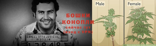 альфа пвп Горняк