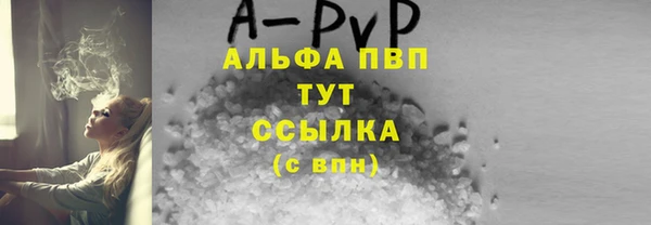 ПСИЛОЦИБИНОВЫЕ ГРИБЫ Горно-Алтайск