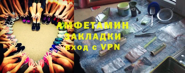 ПСИЛОЦИБИНОВЫЕ ГРИБЫ Горно-Алтайск