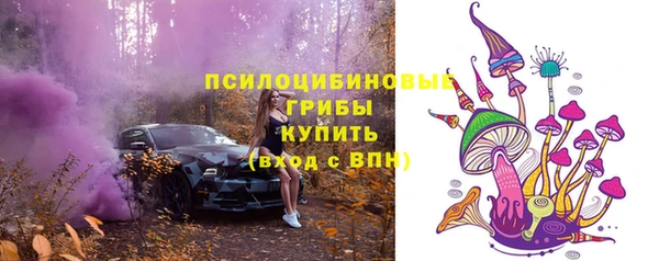 ПСИЛОЦИБИНОВЫЕ ГРИБЫ Горно-Алтайск