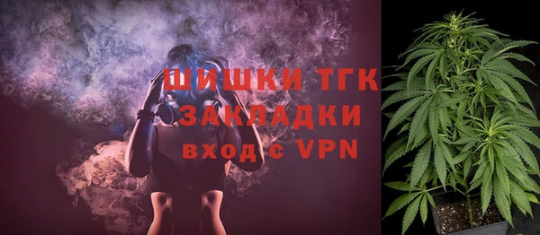 дживик Горнозаводск