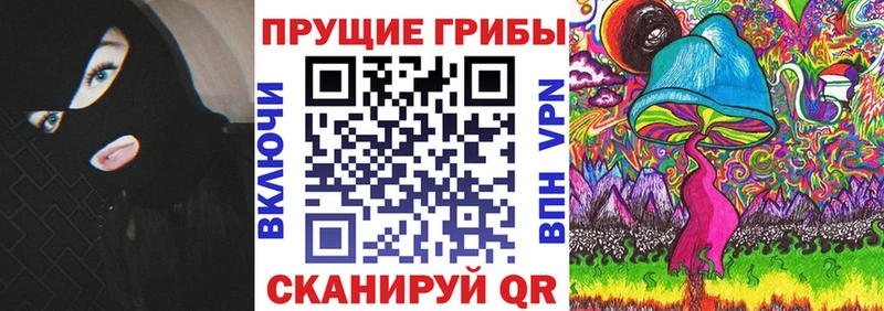 Псилоцибиновые грибы GOLDEN TEACHER мега онион Новоржев где найти